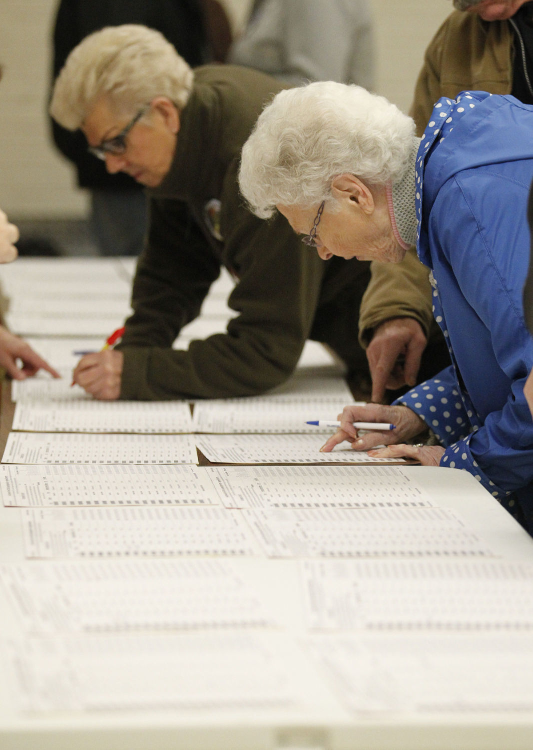 Democratic Caucus in Center Point